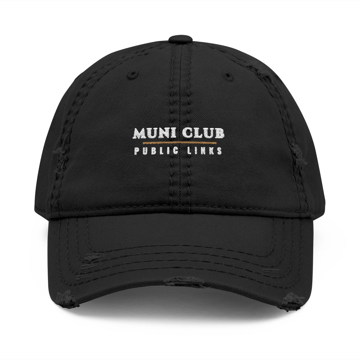 Public Links Dad Hat in Black, front view
