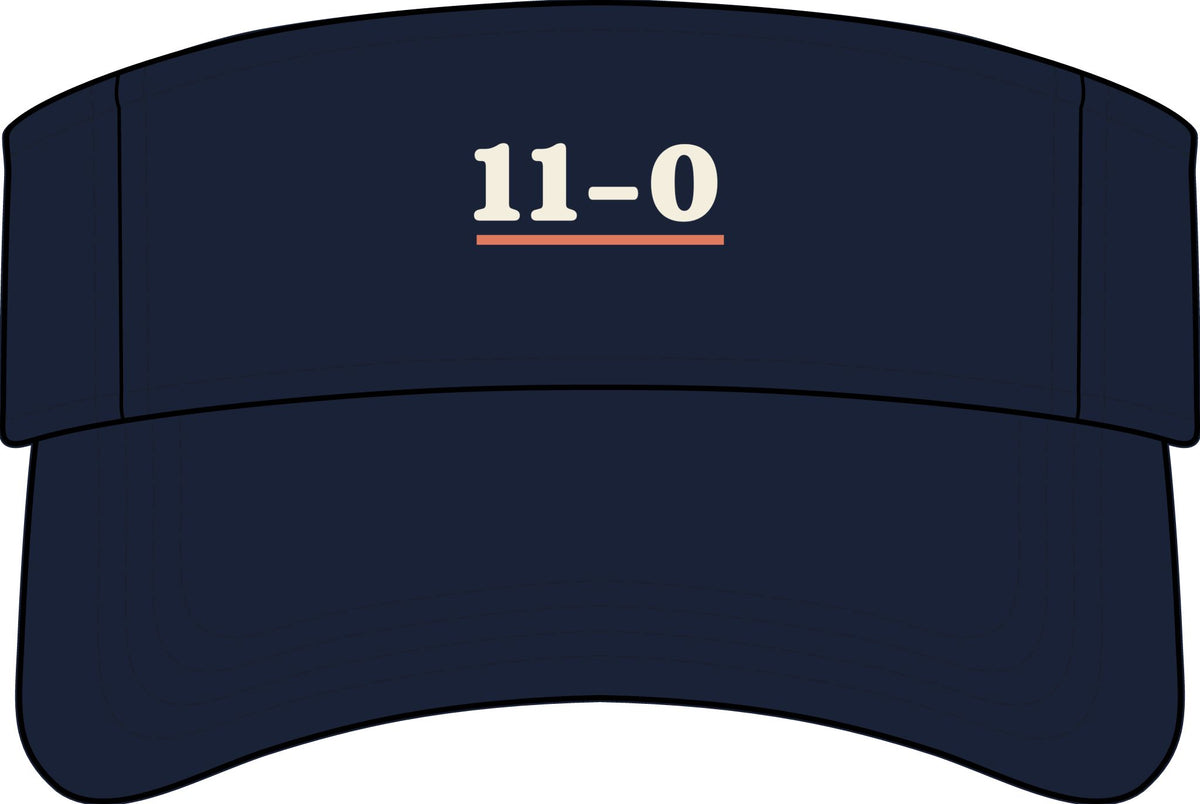 11–0 Visor