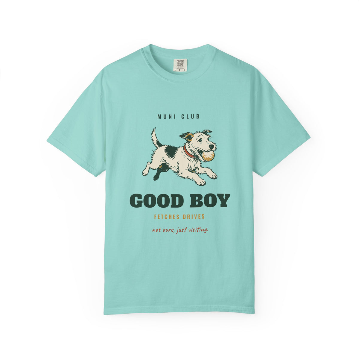 Good Boy Tee in Chalky Mint, front view