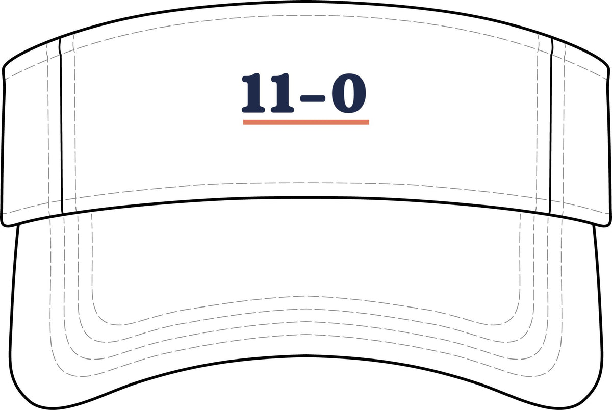11–0 Visor