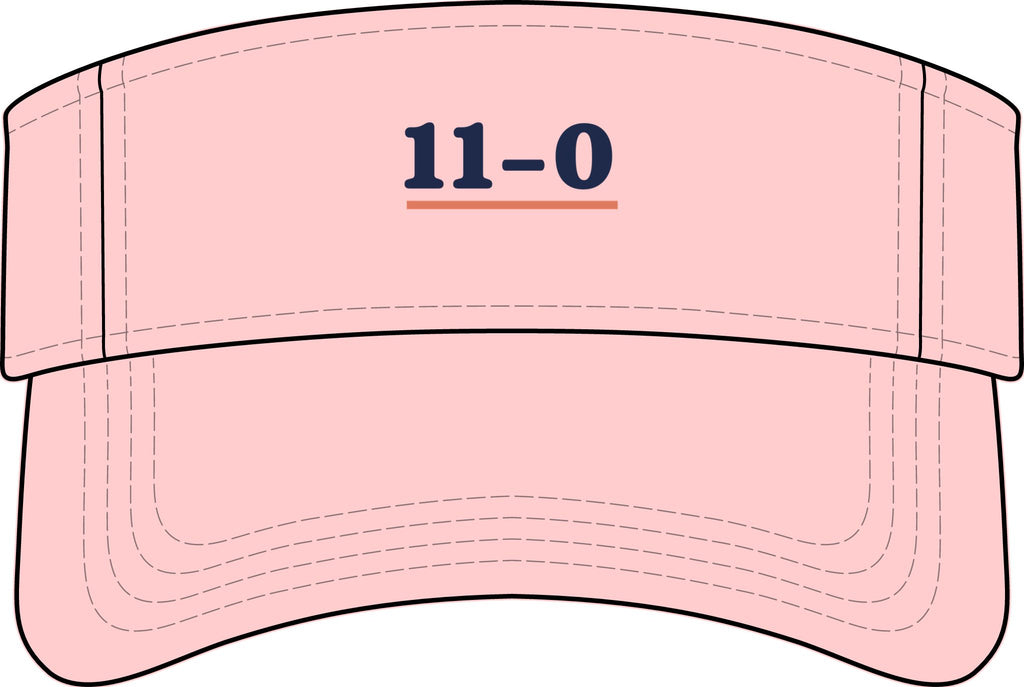 11–0 Visor