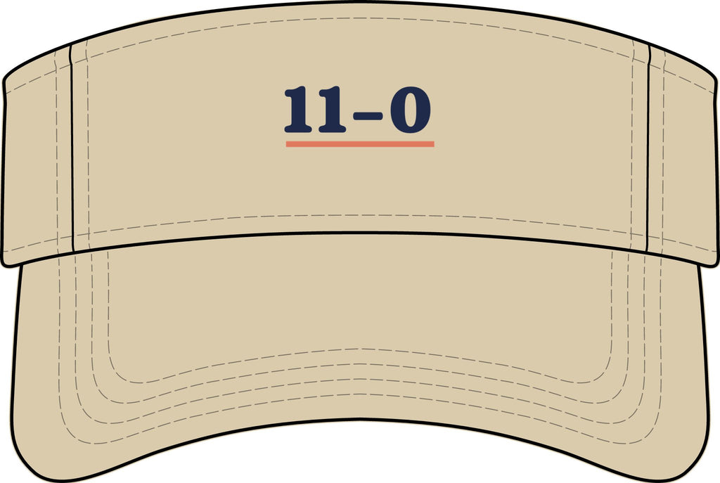 11–0 Visor