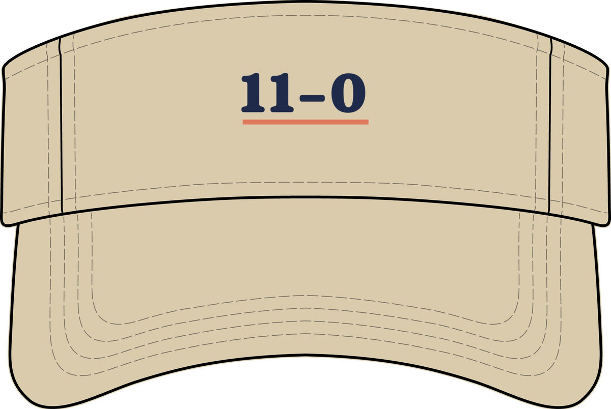 11–0 Visor