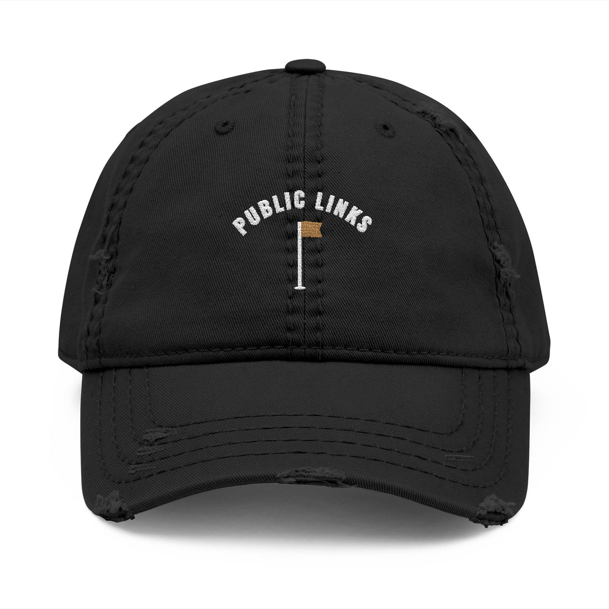 Public Links Arch Dad Hat in Black, front view