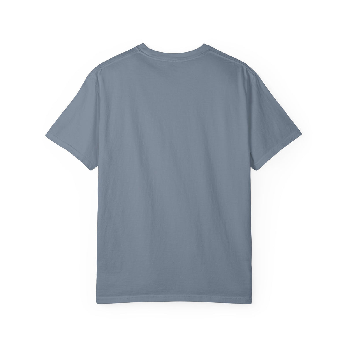 Lip Out Tee in Blue Jean, back view