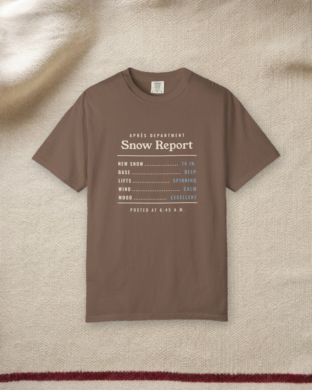 Snow Report Tee in Espresso, styled