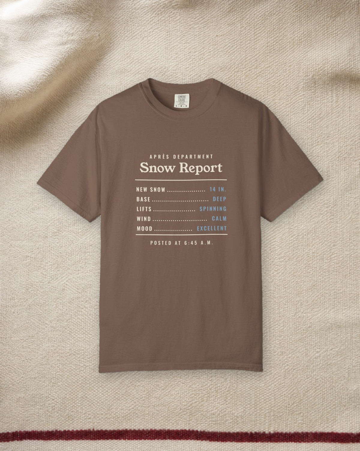 Snow Report Tee in Espresso, styled
