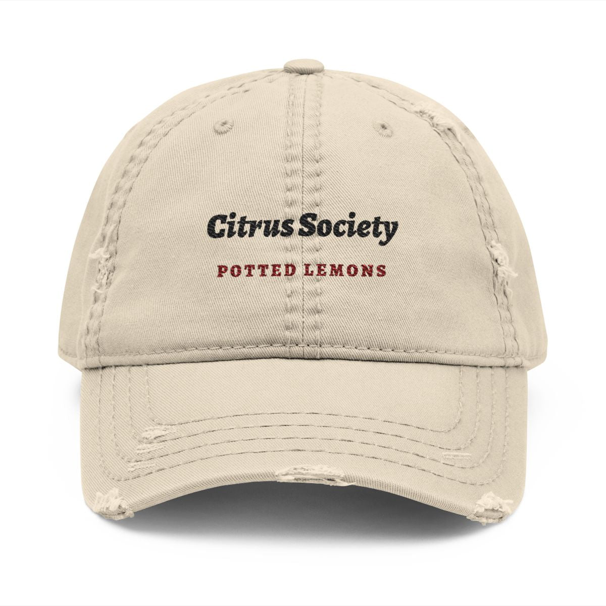 Citrus Society Dad Hat in Khaki, front view