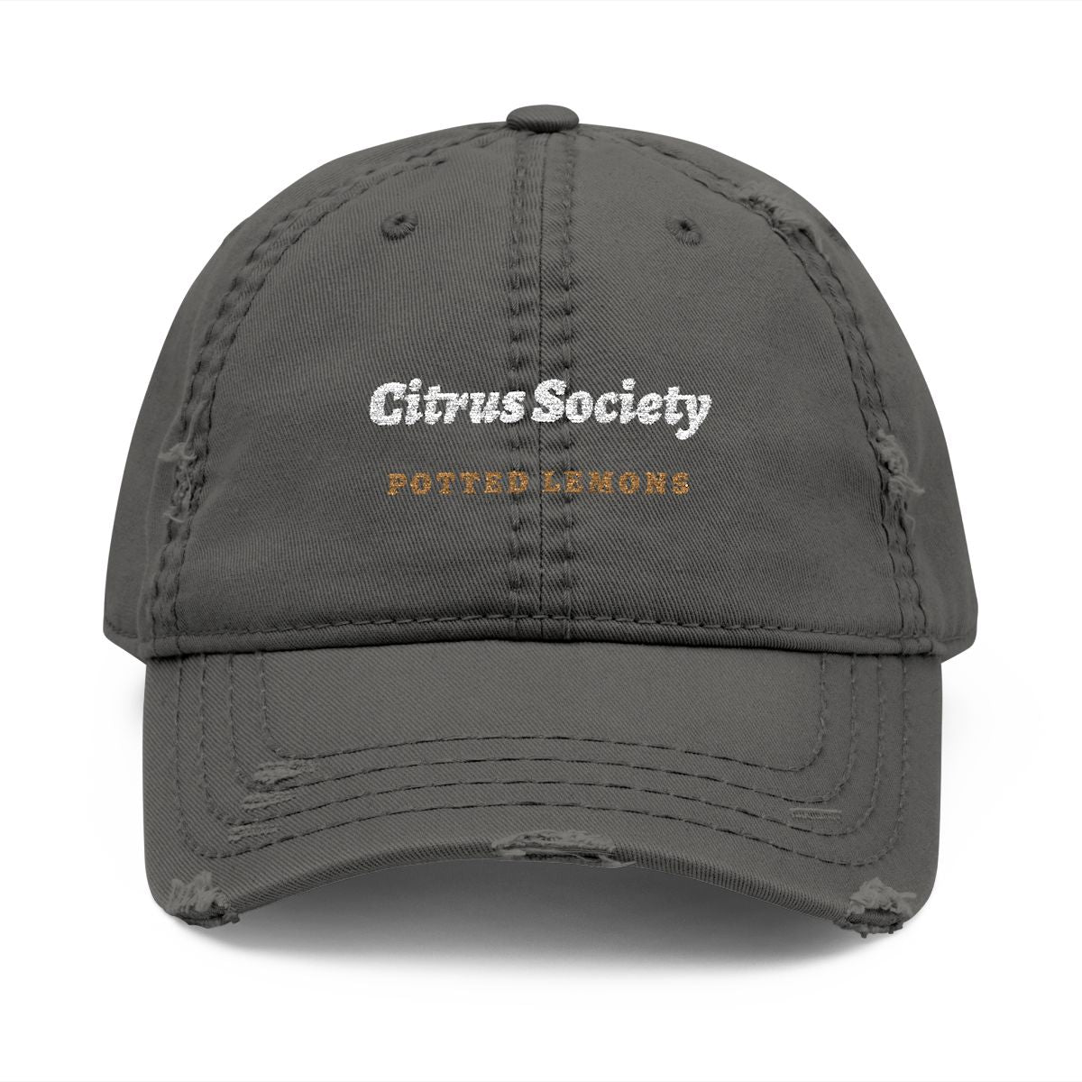 Citrus Society Dad Hat in Charcoal Grey, front view