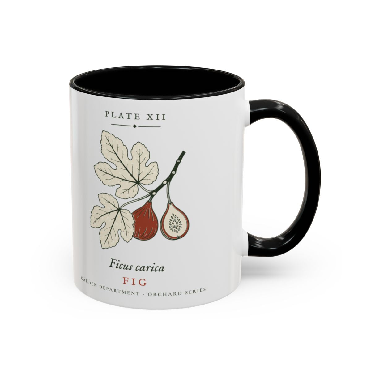 Fig Plate Mug in Black, right side