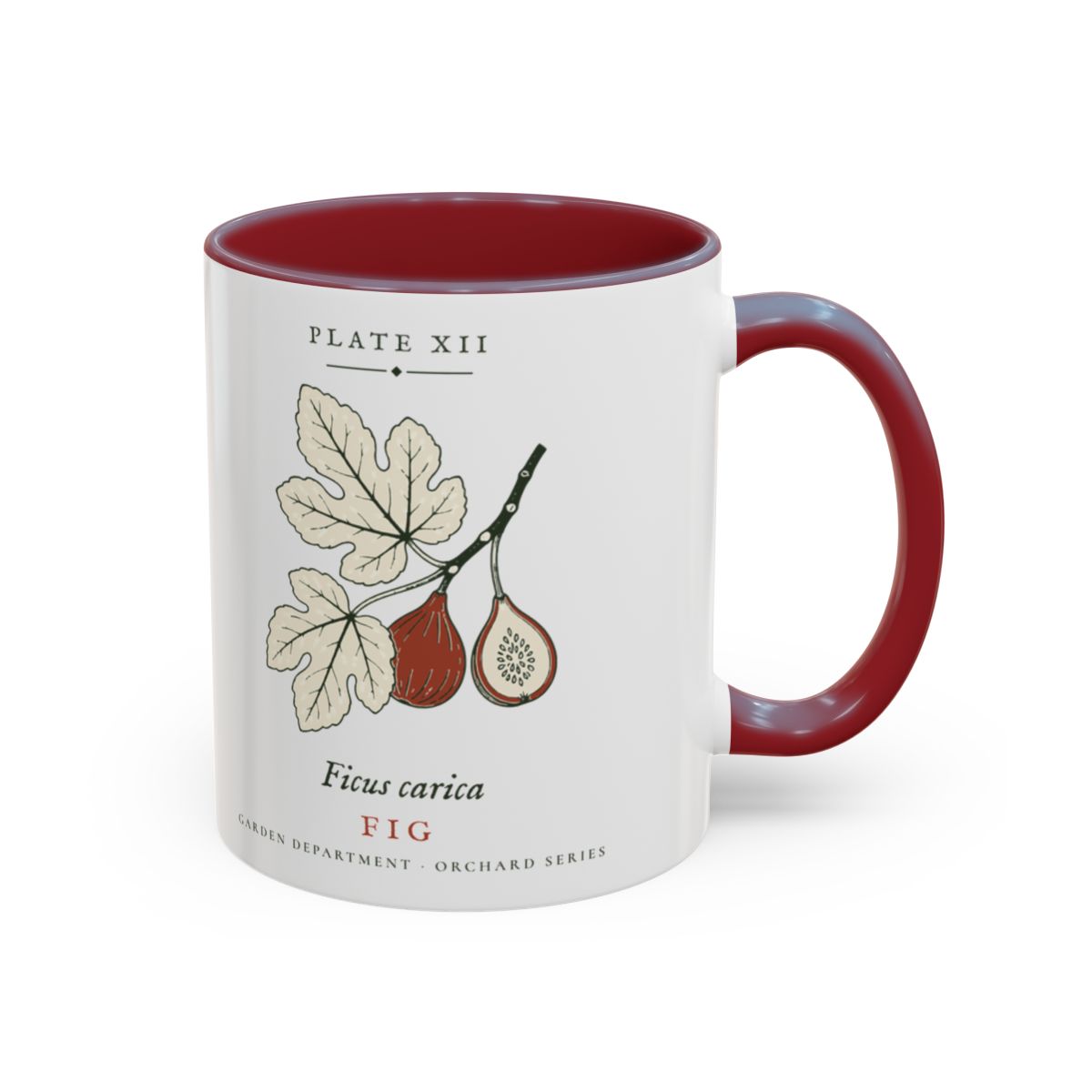 Fig Plate Mug in Maroon, right side