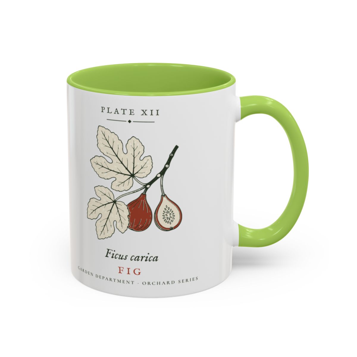 Fig Plate Mug in Light Green, right side