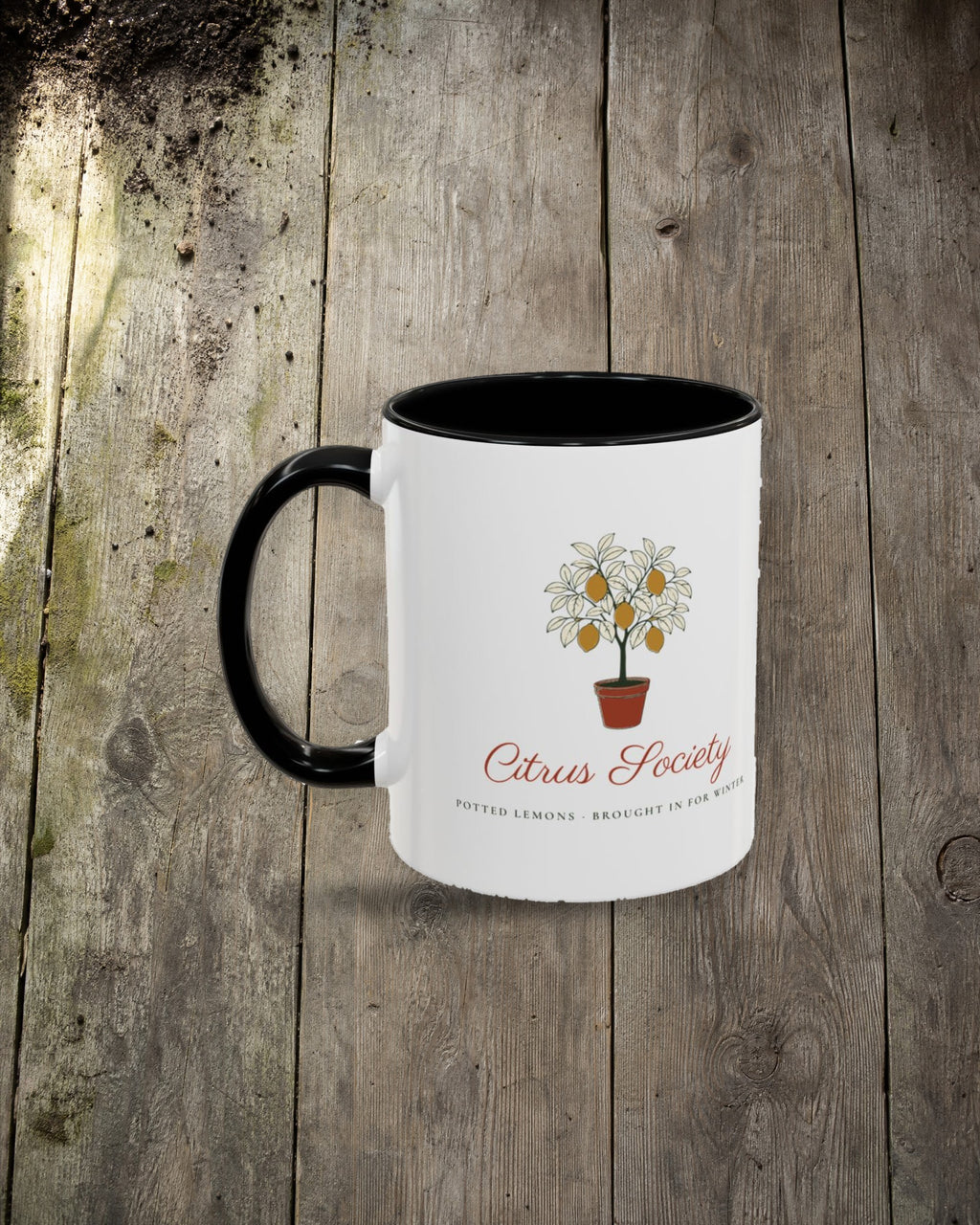 Citrus Society Mug in Black, styled