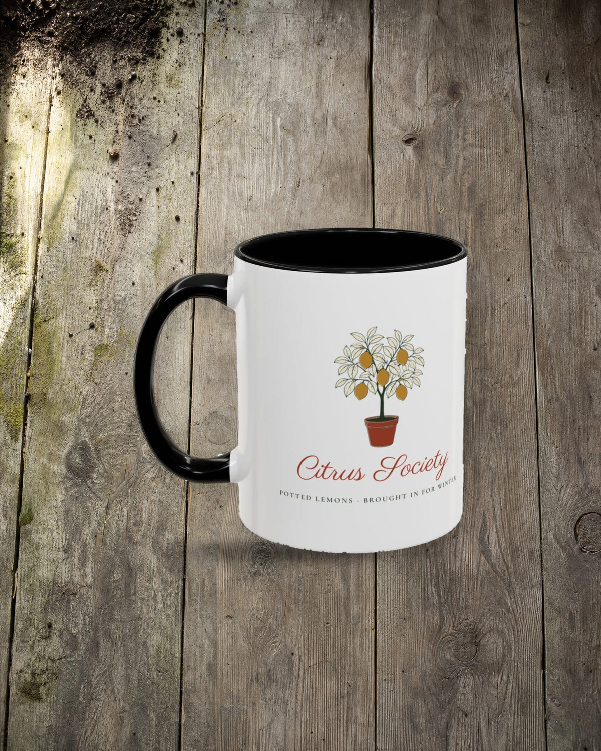 Citrus Society Mug in Black, styled