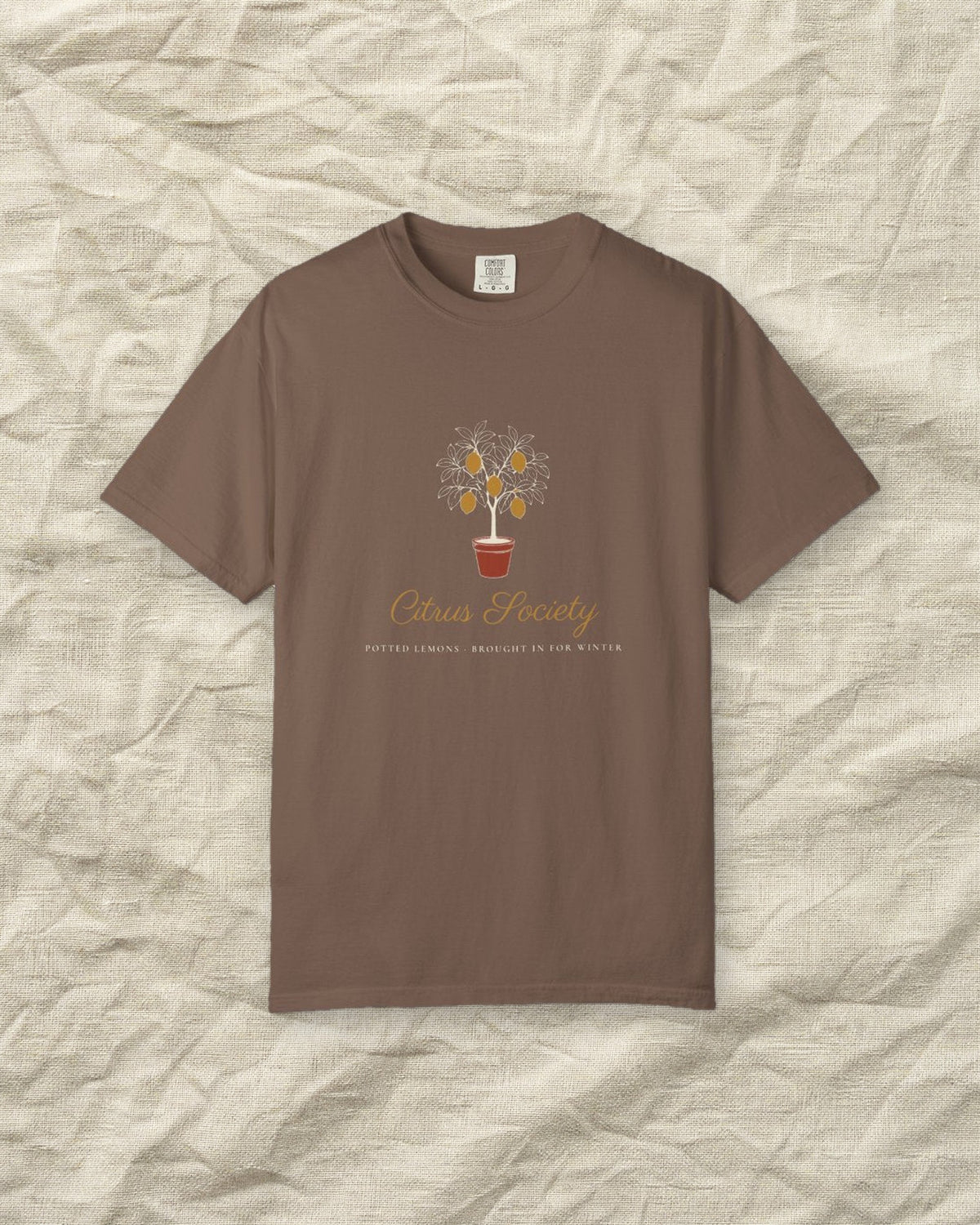 Citrus Society Tee in Espresso, styled