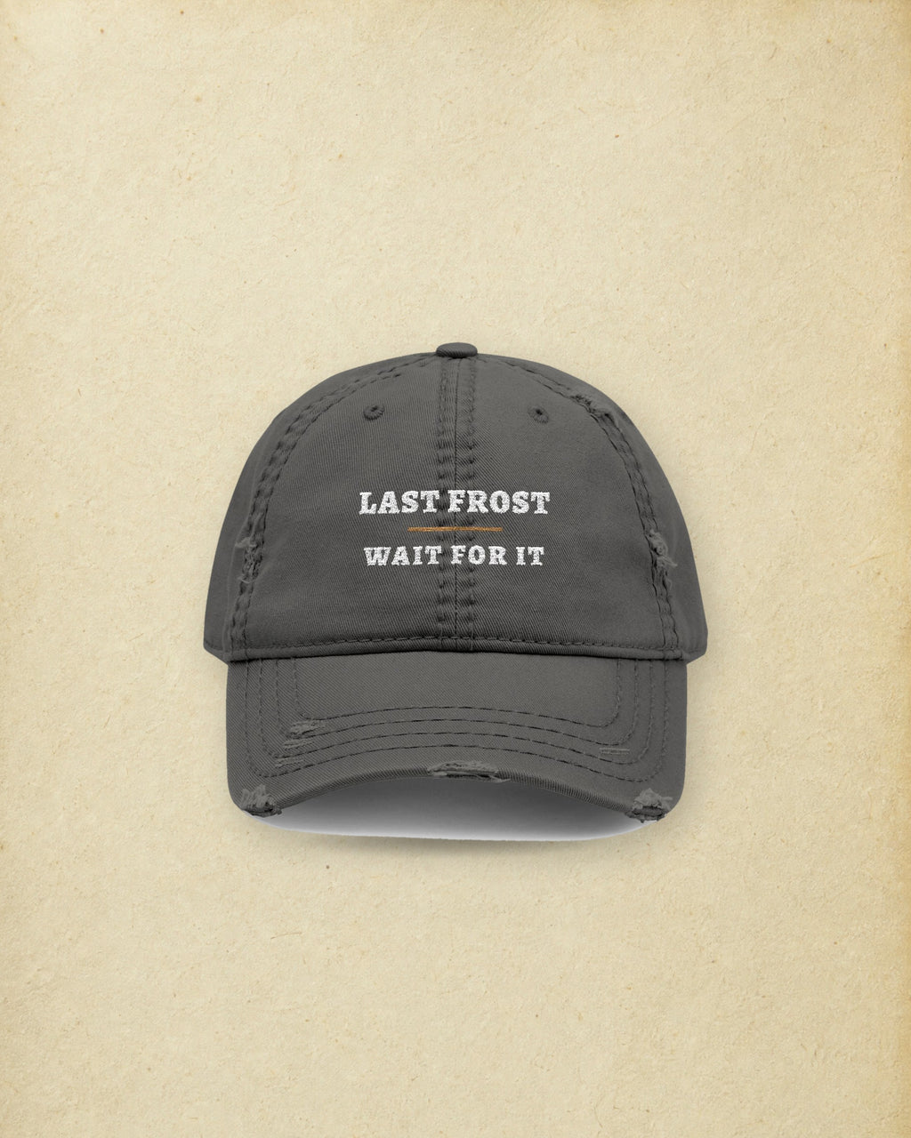 Last Frost Dad Hat in Charcoal Grey, styled