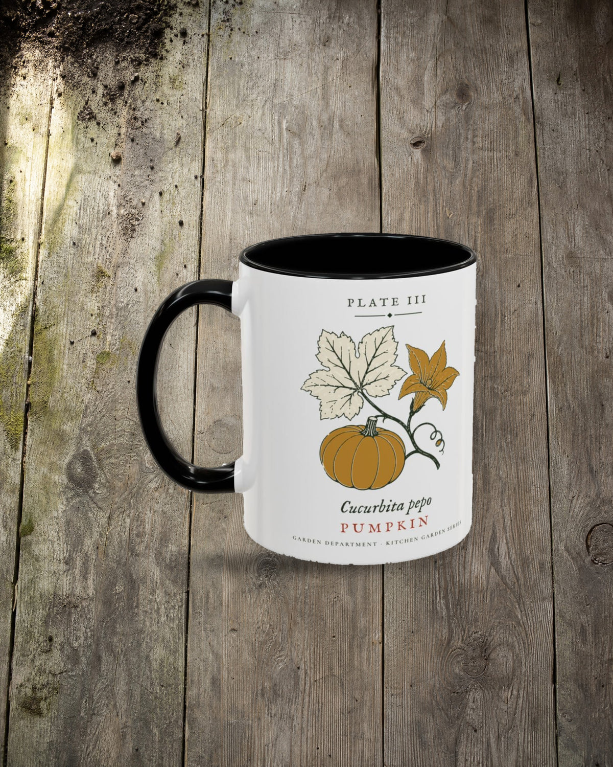 Pumpkin Plate Mug in Black, styled