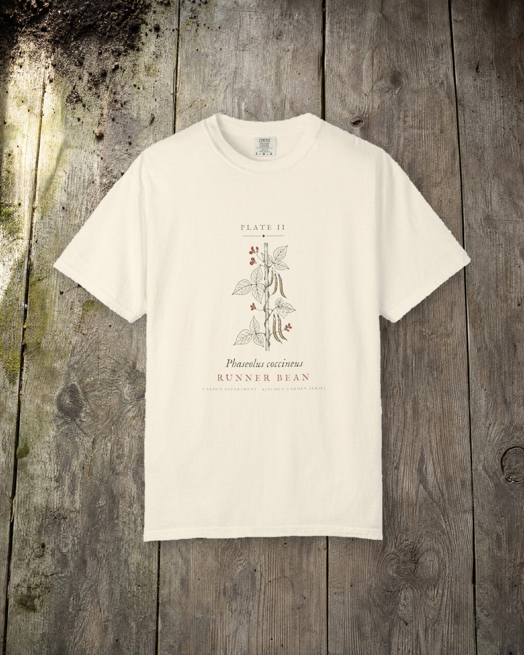 Runner Bean Plate Tee in Ivory, styled