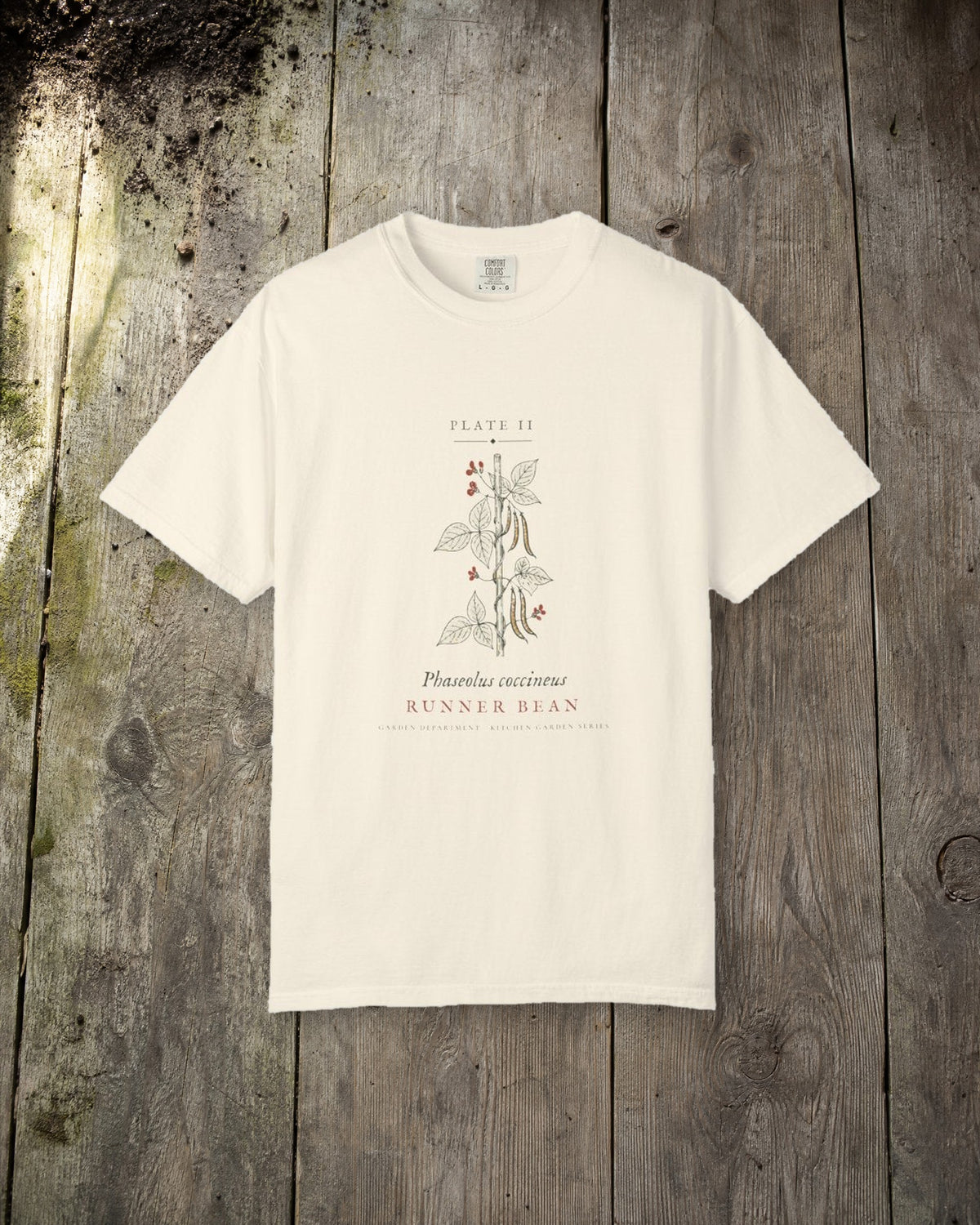Runner Bean Plate Tee in Ivory, styled