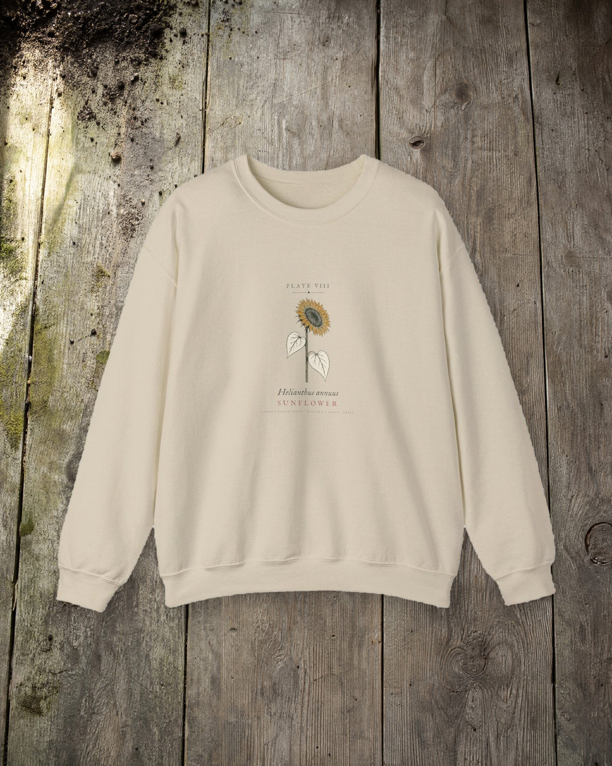 Sunflower Plate Crewneck in Sand, styled