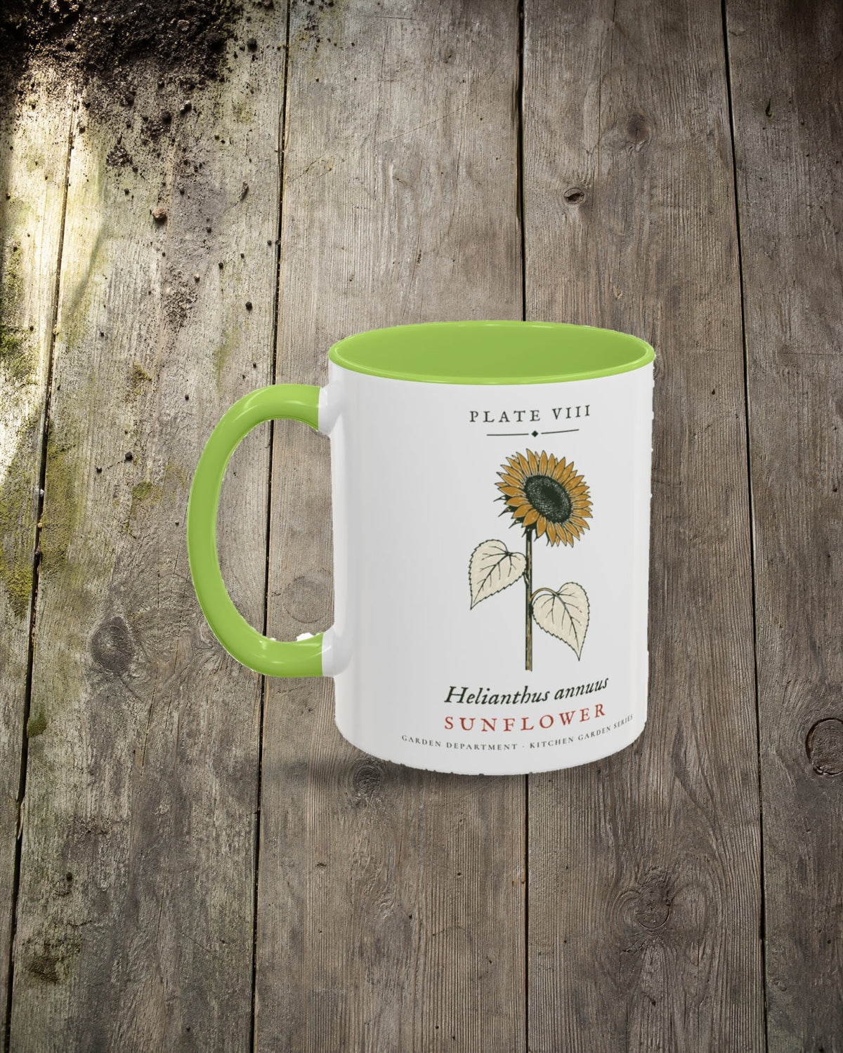 Sunflower Plate Mug in Light Green, styled