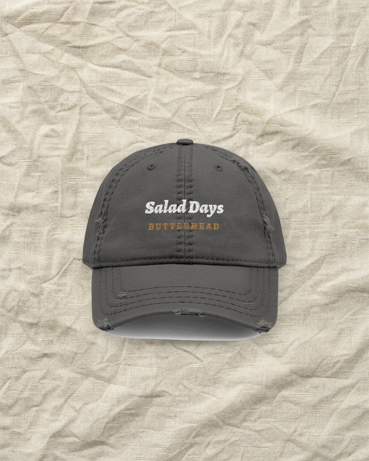 Salad Days Dad Hat in Charcoal Grey, styled