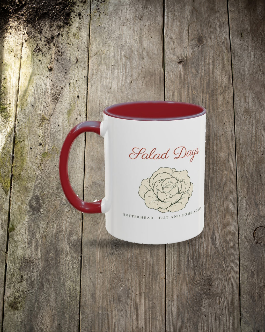 Salad Days Mug in Maroon, styled