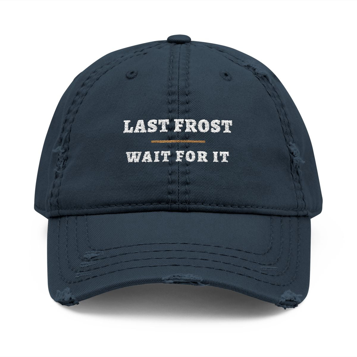 Last Frost Dad Hat in Dark Navy, front view
