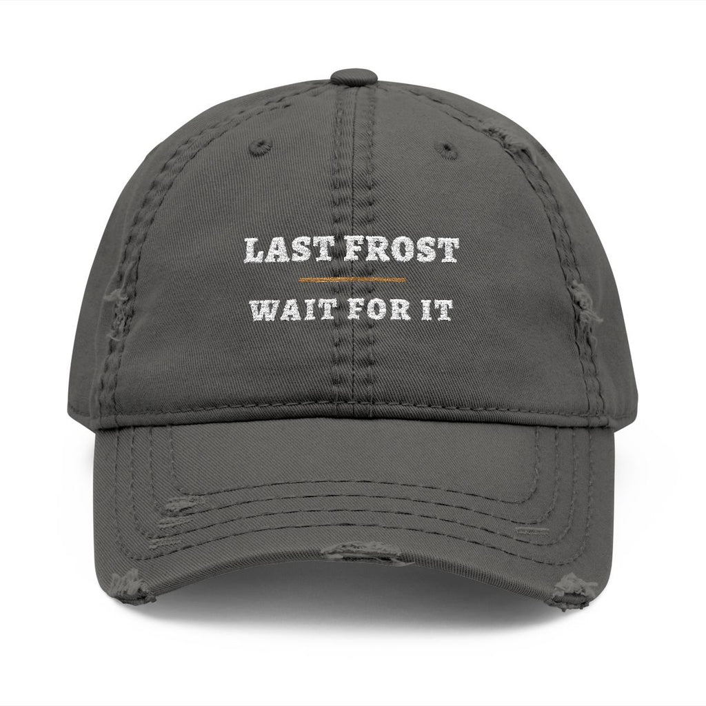 Last Frost Dad Hat in Charcoal Grey, front view