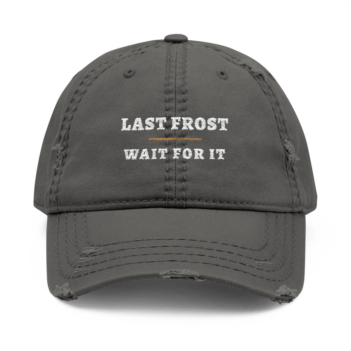 Last Frost Dad Hat in Charcoal Grey, front view