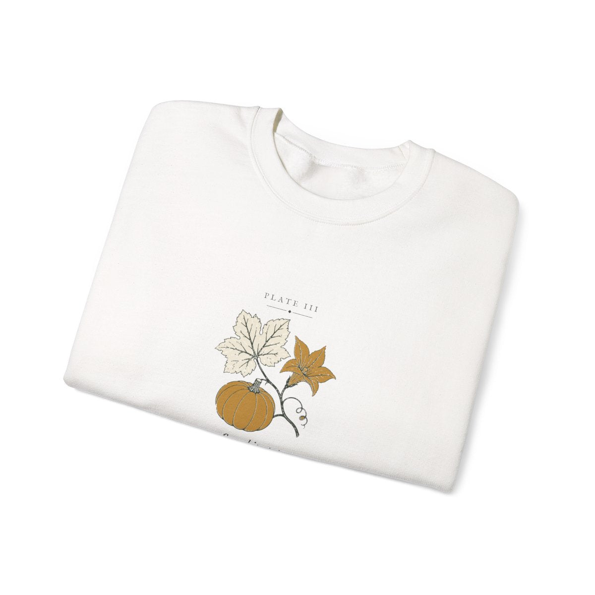 Pumpkin Plate Crewneck in White, folded