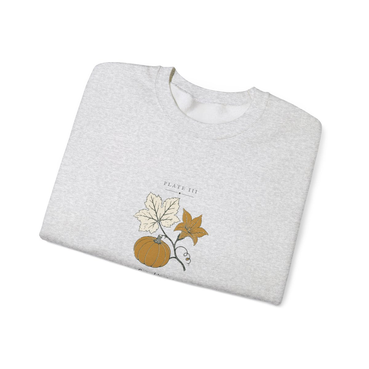 Pumpkin Plate Crewneck in Ash, folded