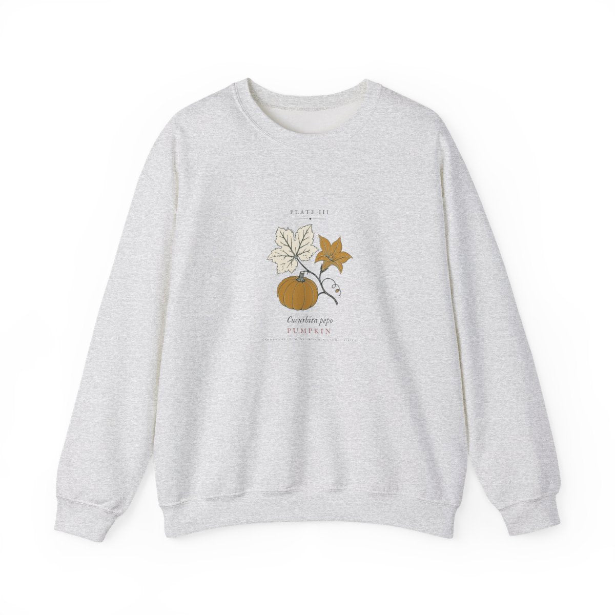 Pumpkin Plate Crewneck in Ash, front view