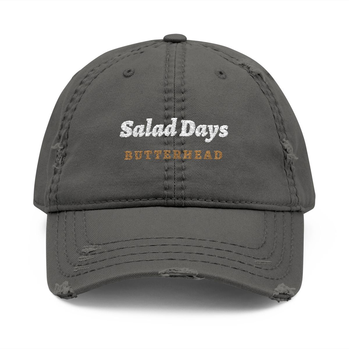 Salad Days Dad Hat in Charcoal Grey, front view