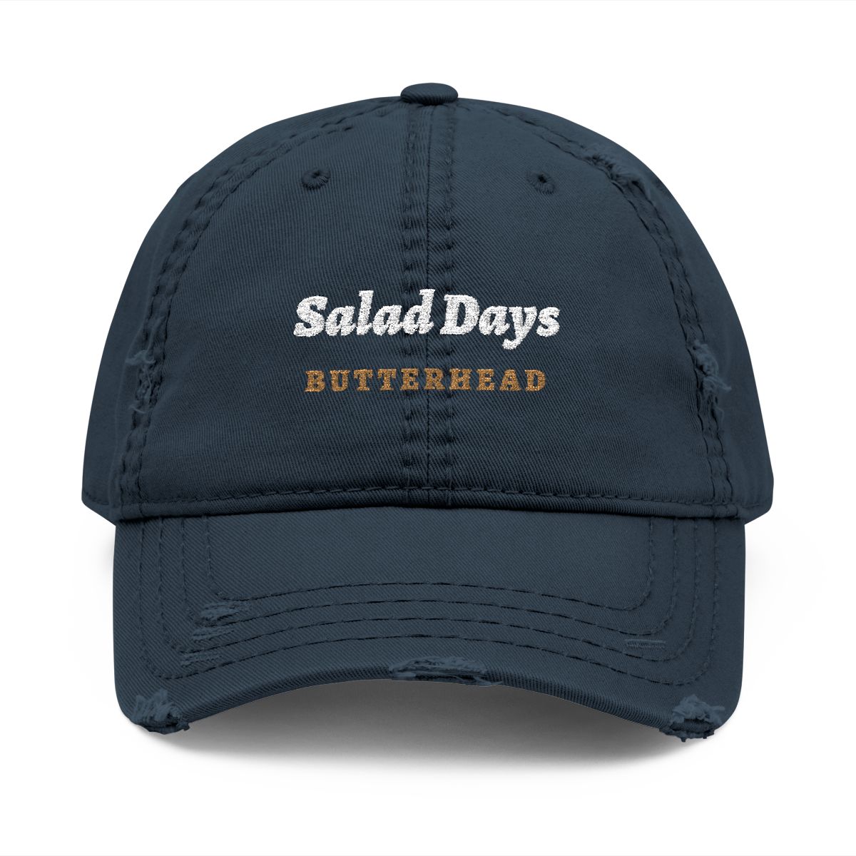 Salad Days Dad Hat in Dark Navy, front view