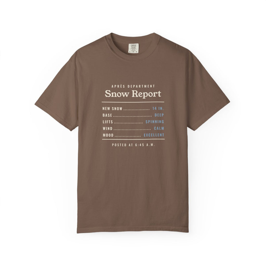 Snow Report Tee in Espresso, front view