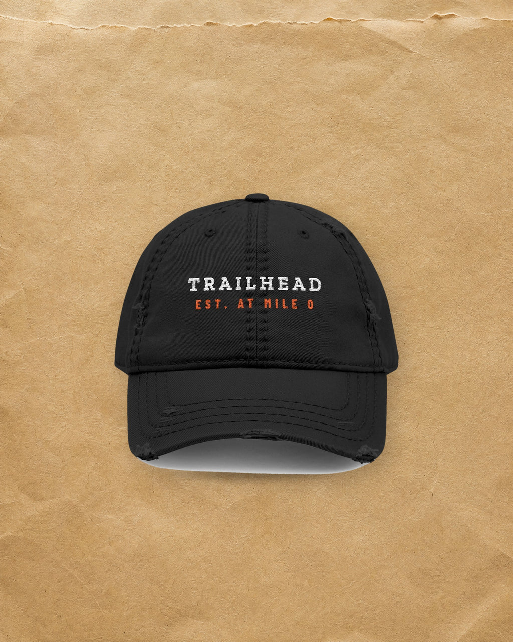 Established Dad Hat in Black, styled