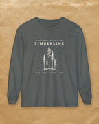 Five Pines Long Sleeve Tee in Pepper, styled
