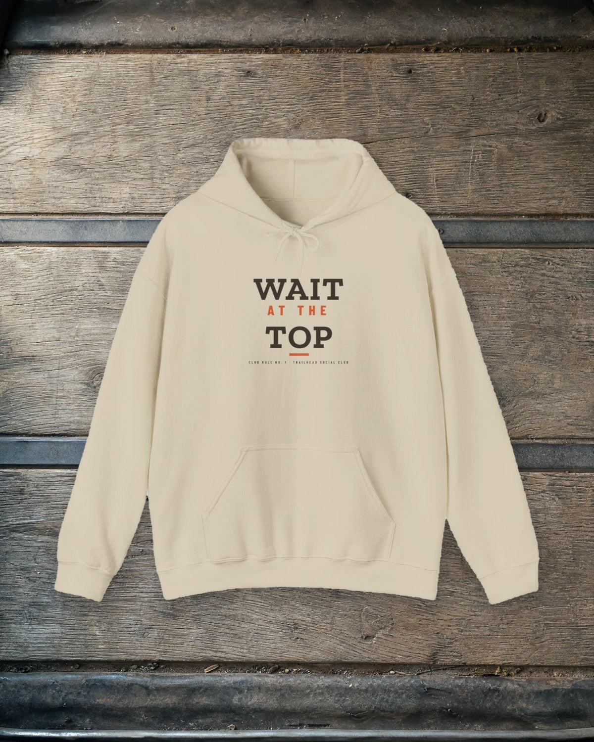 Wait at the Top Hoodie in Sand, styled