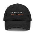 Established Dad Hat in Black, front view