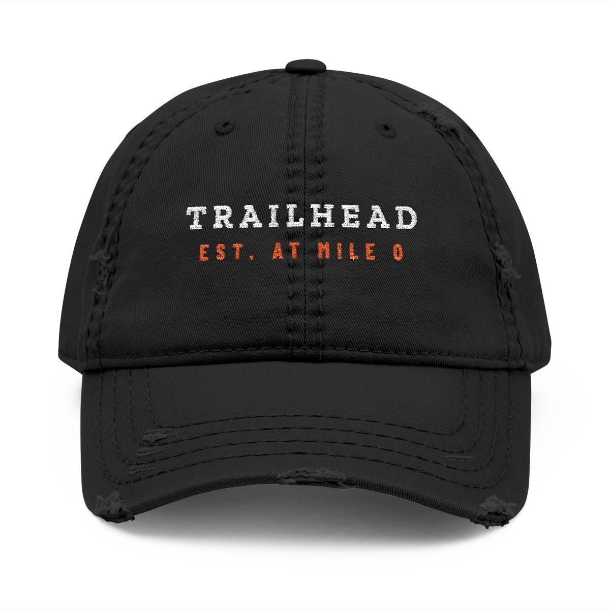 Established Dad Hat in Black, front view